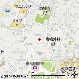 茨城県水戸市元吉田町1977-51周辺の地図