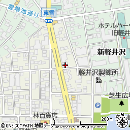 長野県北佐久郡軽井沢町軽井沢東23-2周辺の地図