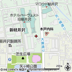 旧軽井沢菊池動物病院周辺の地図