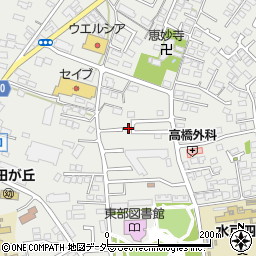 茨城県水戸市元吉田町1977-43周辺の地図