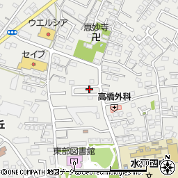茨城県水戸市元吉田町1977-57周辺の地図