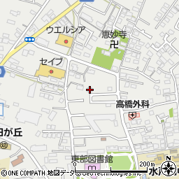 茨城県水戸市元吉田町1977-40周辺の地図