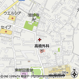 茨城県水戸市元吉田町1993周辺の地図