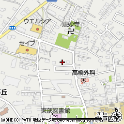茨城県水戸市元吉田町1977-38周辺の地図