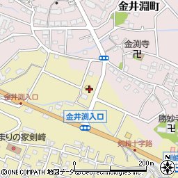 群馬県高崎市剣崎町1186-12周辺の地図