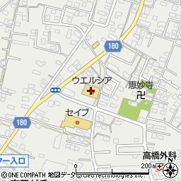 ウエルシア水戸元吉田店周辺の地図