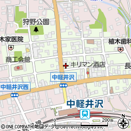 長野県北佐久郡軽井沢町中軽井沢11-1周辺の地図