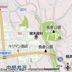 長野県北佐久郡軽井沢町中軽井沢14-11周辺の地図