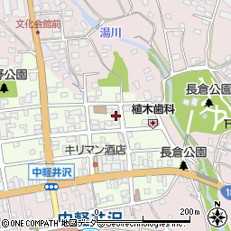 長野県北佐久郡軽井沢町中軽井沢15-20周辺の地図