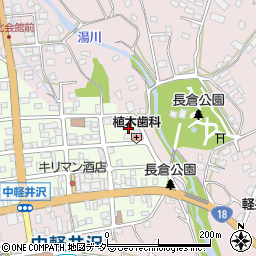 長野県北佐久郡軽井沢町中軽井沢14-12周辺の地図