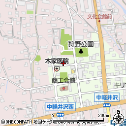 長野県北佐久郡軽井沢町中軽井沢21-11周辺の地図