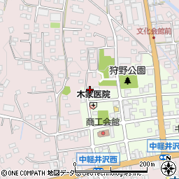 長野県北佐久郡軽井沢町中軽井沢21-6周辺の地図