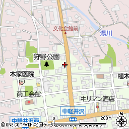 長野県北佐久郡軽井沢町中軽井沢22-8周辺の地図