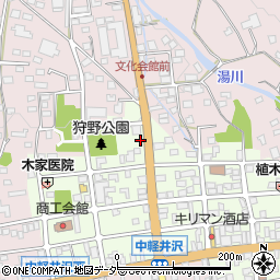 長野県北佐久郡軽井沢町中軽井沢22-9周辺の地図