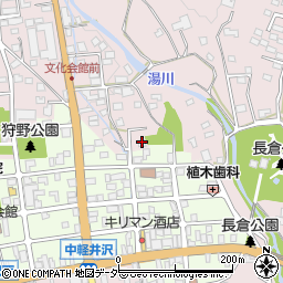 中軽井沢駐在所周辺の地図