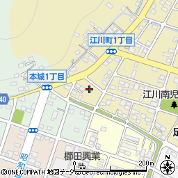 有限会社金井商店周辺の地図