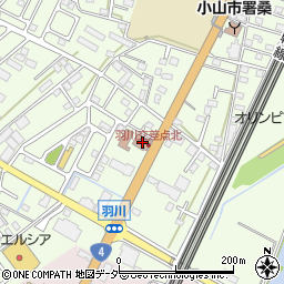 栃木県小山市羽川75周辺の地図