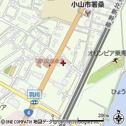 栃木県小山市羽川113周辺の地図