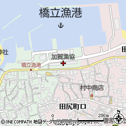 加賀漁協周辺の地図