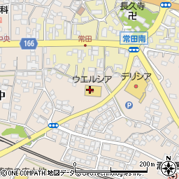 長野県東御市田中580-1周辺の地図
