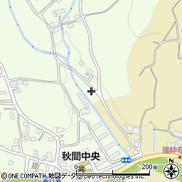 群馬県安中市東上秋間2921-1周辺の地図