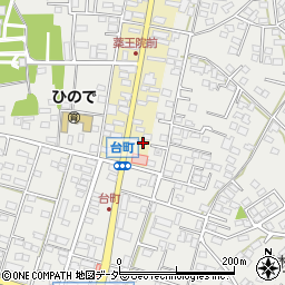 茨城県水戸市元台町1509周辺の地図