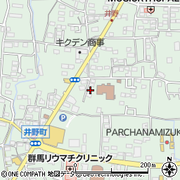群馬県高崎市井野町1065-4周辺の地図