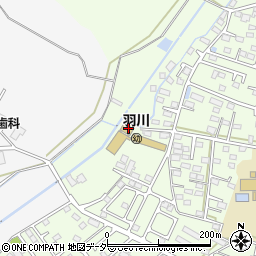 栃木県小山市羽川196周辺の地図