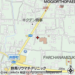 群馬県高崎市井野町1065-3周辺の地図