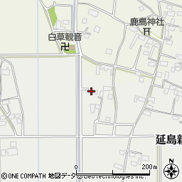 栃木県小山市延島595周辺の地図