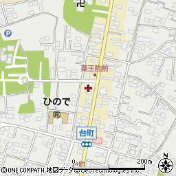 茨城県水戸市元台町1526周辺の地図