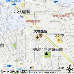 株式会社イシヅカ（ホームセンター）小鳥店周辺の地図