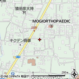 群馬県高崎市井野町832-2周辺の地図