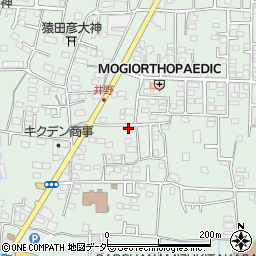 群馬県高崎市井野町832-5周辺の地図