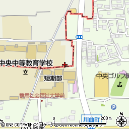 群馬県高崎市新保田中町176周辺の地図