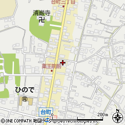 茨城県水戸市元台町1491周辺の地図