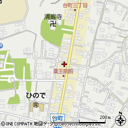 茨城県水戸市元台町1529周辺の地図