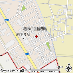 栃木県栃木市樋ノ口町11周辺の地図