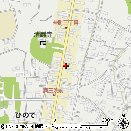 茨城県水戸市元台町1484周辺の地図