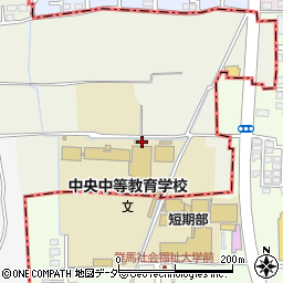 群馬県高崎市新保田中町184周辺の地図