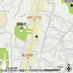 茨城県水戸市元台町1481周辺の地図