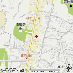 茨城県水戸市元台町周辺の地図