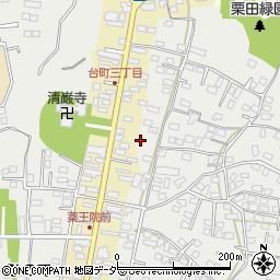 茨城県水戸市元吉田町2395周辺の地図