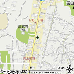 茨城県水戸市元台町1480周辺の地図