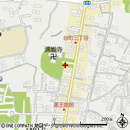 茨城県水戸市元台町1541-1周辺の地図