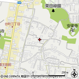 茨城県水戸市元吉田町2471周辺の地図