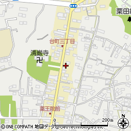茨城県水戸市元台町1478周辺の地図