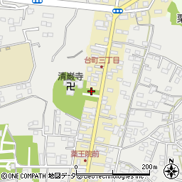 茨城県水戸市元台町3238周辺の地図