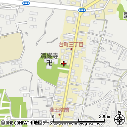 茨城県水戸市元台町1542周辺の地図