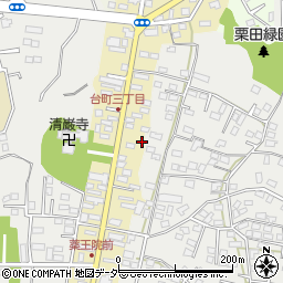 茨城県水戸市元台町1476周辺の地図